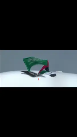 #السعودية #الامارات #fyp #foryou 