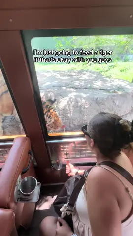 This is one of the coolest things I’ve done! The place is Wild animal park Shanghai, There’s lots of animals you can feed! 