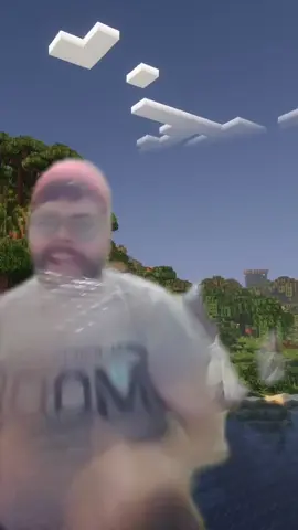 #humor #fyp #viral #parati #filtro #probandofiltros #Minecraft 