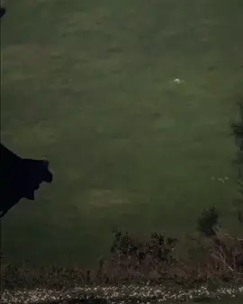 their chemistry in season 1🤌🏻😩🤍✨ cc credit's goes to @kayivibes  ty🤍#fyyyyyyyyyyyyyyy #viralvideo #1m #bala #edit #trending #fyp #turkishseries #kurulusosman #unfreezemyacount #growmyaccount #viral #fypp 