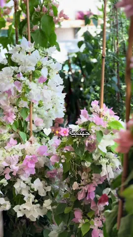 #fyp #غرام_الطبيعة #video #vital #4yp #الشرائع #جهنمية #مكه 