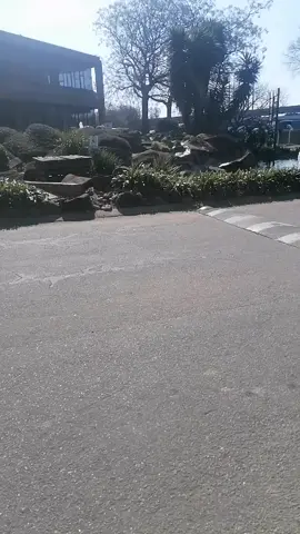 😎😎😎😮😮