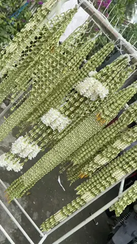 #fyppppppppppppppppppppppp #fypシ #melatisrikandi #melatisrikandipremium #melatipalsu #melatiimitasi 