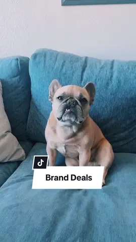 Those paws can sell anything #dogs #dogparent #sellout #frenchbulldog #comedy cred @Jason Banks 