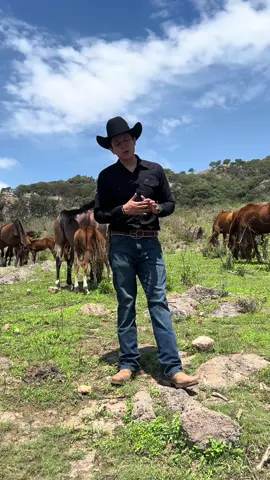¿Conoces los 3 tipos de Cuarto de milla ? 🐴🏇🏼💪🏻 . . #botinlabarca #wranglermexico #caballos #charreria #aqhaproud #charro #caballosmexico 