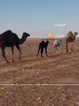 #تصميم_فيديوهات🎶🎤🎬تصميمي🔥 #جاهزيه_سرعه_حسم🔥✊🥀🇸🇩 #اكسبلور #لايكات #تصميم_فيديوهات🎶🎤🎬تصميمي🔥 #مشاهدت #مليؤن ##مشاهير_تيك_توك #الشعب_الصيني_ماله_حل😂😂 