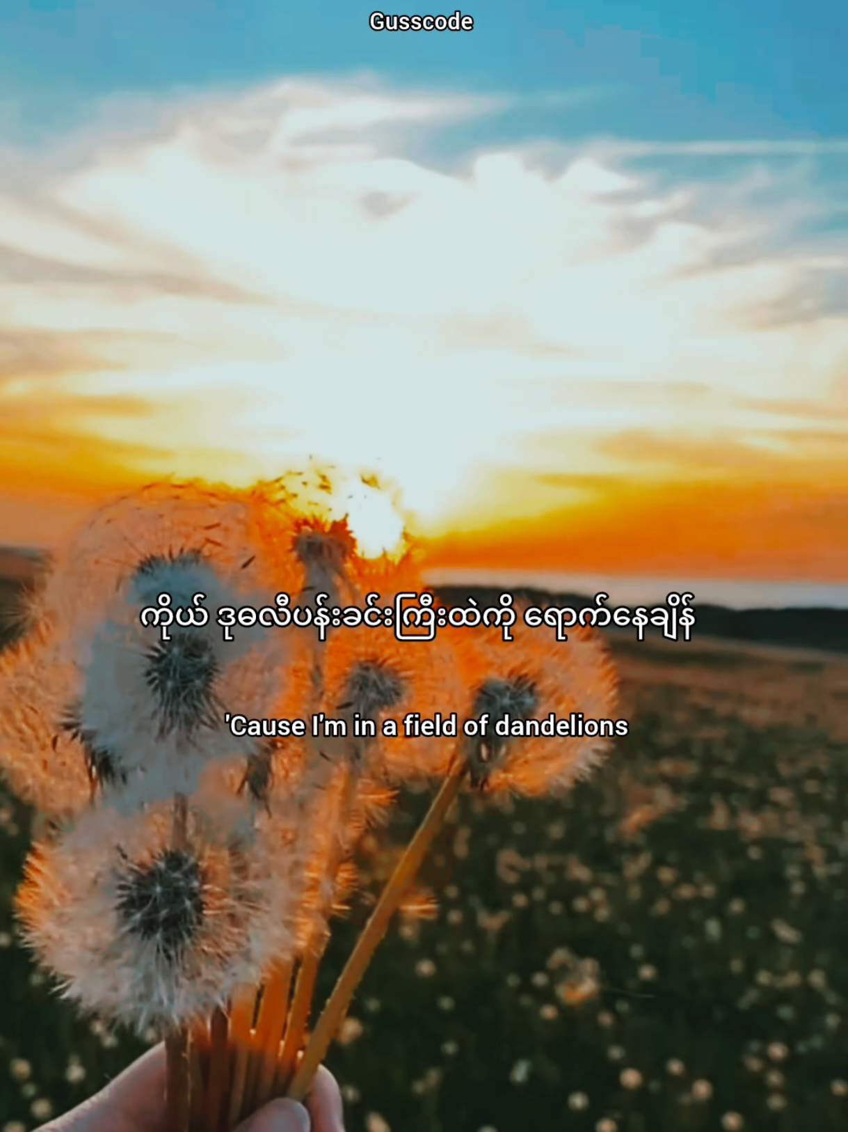 Dandelions Song by Ruth B #lyrics #mmsub #tiktok #foryou 