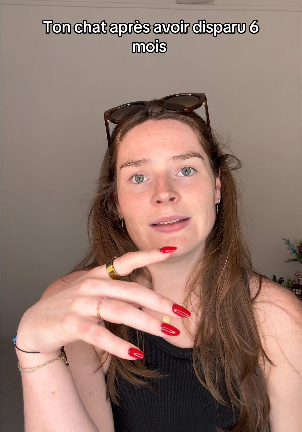 Je les voix trop agressif les chats 