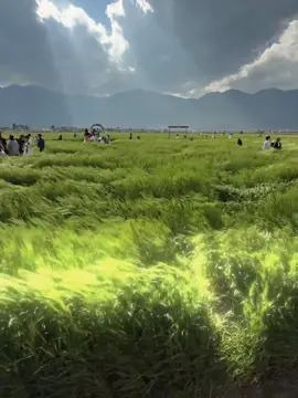 “Đôi khi bình yên chỉ đơn giản là hôm nay trời thật đẹp, và chẳng có gì để ta bận lòng..