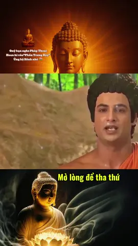 Mở lòng để tha thứ #chonthientam #phapthoai #nghephapmoingay #loiphatday #phatphap 