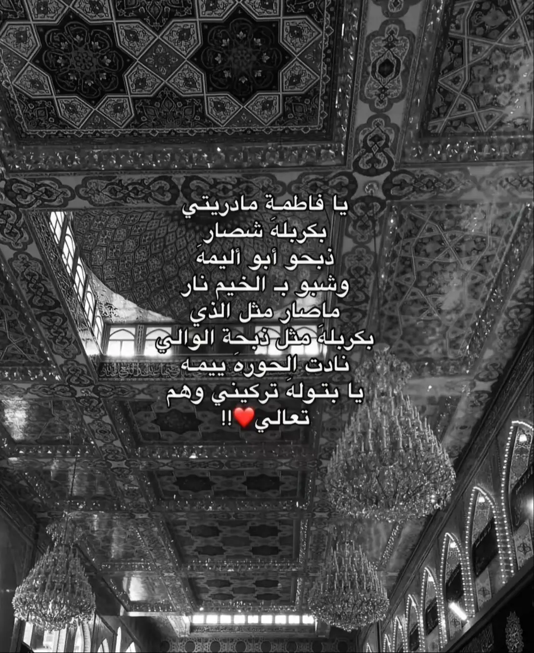 #ايه_الورد_ضد_الحراره_والبرد👽 #شعب_الصيني_ماله_حل😂😂 #مالي_خلق_احط_هاشتاقات🧢 #الامام_علي_بن_أبي_طالب_؏💙🔥 #اللهم_صل_على_محمد_وآل_محمد 