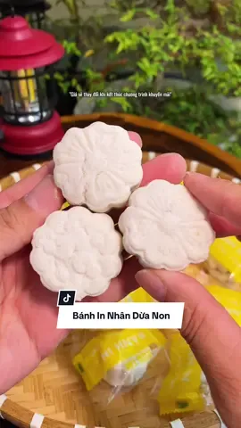 Bánh in dẻo nhân dừa non, dẻo, thơm ăn đã lắm #banhin #banhinnhandua #banhinnhanduanon #khatrainghiem 