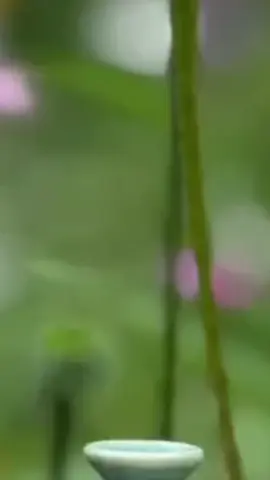 LittleGardenPottery Your work is so beautiful! Those little watercolor babies are too darling Maltry Creative and hes gonna be full size app wont let me tag either of you