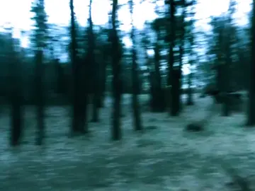 liberando fundo  #fyp #vaiprafy #pinterest #aesthetic #vibe 