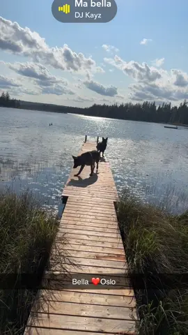 Mes bb ♥️♥️♥️