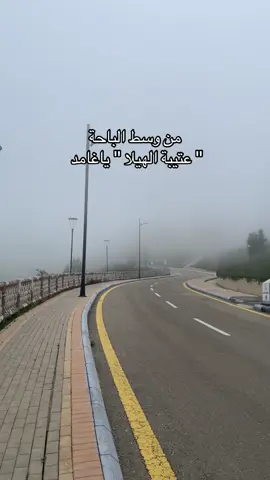 ونعم من شمري🫵🏻 #عتيبة #الباحة #غامد #زهران #شمر_السناعيس_الضياغم_الطنايا 