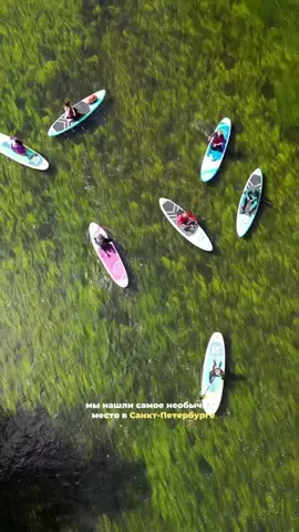 ✨📍Адрес места уже оставили по ссылке в профиле👆 🏞️ Идея для идеального летнего дня недалеко от Питера — покататься на сапах по живописной извилистой реке, среди зелёных деревьев, пения птиц и полной тишины природы. 🌿 Отъехать совсем недалеко от города — и ты уже стоишь на сапе, ловишь равновесие, смотришь по сторонам и просто кайфуешь от того, насколько всё красиво вокруг. 🚣‍♀️ Можно плыть один, можно с друзьями или вдвоем, делать остановки, купаться или просто сидеть на доске, болтая ногами в воде. Это не спорт — это настоящий отдых для души. Особенно красиво кататься на закате — вода становится золотой, а лес — волшебным. #питерлето #кудапоехатьвпитере #сапспб #сапбордпитер #отдыхвпригороде #летовпитере #природавпитере #ttпитер #supboard #спботдых