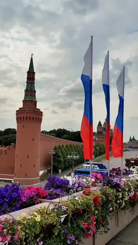 слава России 🤗#россия #kremlin #putin #russia #vibes 