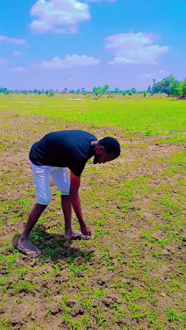 Hikiman Zaman birni da kauye #burin #kauye #yobe #fika 