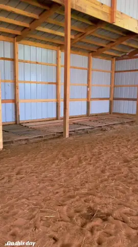 So satisfying 🙌🏼 #horse #horsegirl #equestrian #hay #haybales #farmlife 