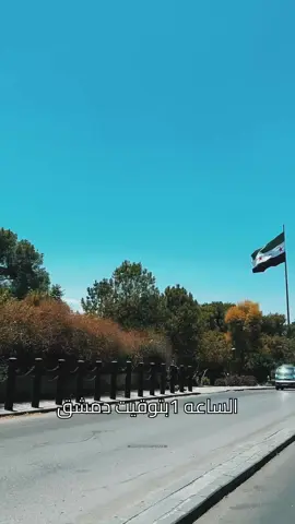 #البلد عم تقلنا سافرو يلا سافرو💔✈️#سوريا#الوطن جريح#غادور