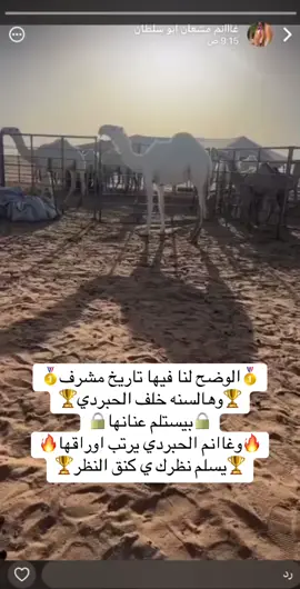 #مهرجان_الملك_عبدالعزيز_لمزاين_الابل9 #غازي_الذيابي_مخلد_سهل_ابو_حشر #غانم_الحبردي #لطامات#ابن_صحران #الوضح#الصياهد 