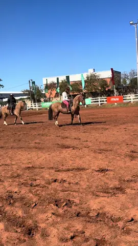 #rnamorados #caballosCriollos#HistoriaDeAmor