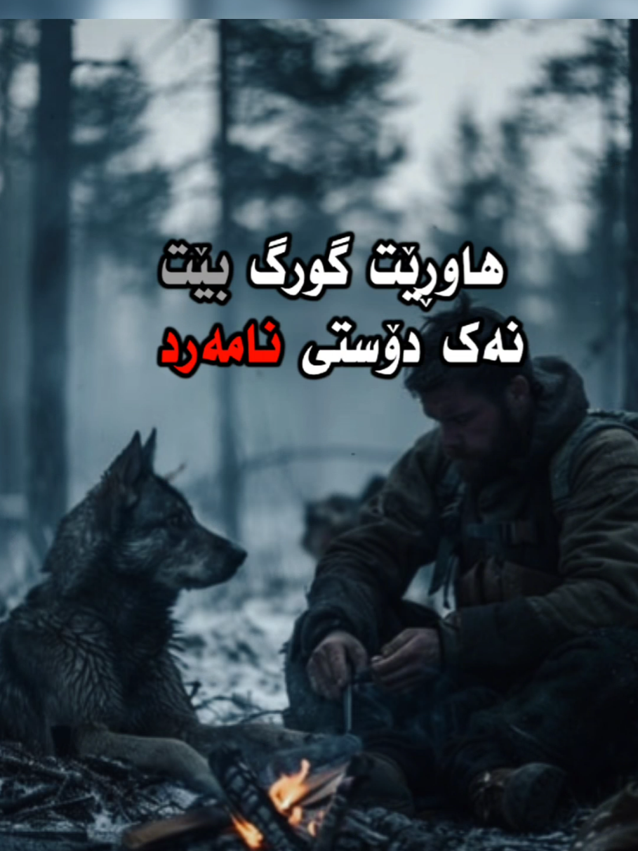 ! دۆستی نامەرد لە گورگ خراپترە #پیرەمێرد #wolf #گورگ #کوردستان_سلێمانی_کەرکوک_هەولیر #دهۆک #کەلار #کۆیە #کفری #زاخۆ #قەڵادزێ #ڕانیە #حاجیاوا #هەڵەبجە #سەیدسادق #شارەزوور #وتە #قسە #دەنگ #دەنگی_ڕەسەن #هێز #fyp #foryou #foryoupage 