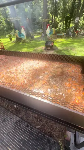 Testing the biggest backyard fryer‼️🤠 #fyp #fypシ゚viral #explore #shorts #explorepage✨ #viralshorts #foryoupage 