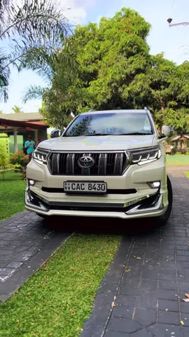 උබලා තාම පොඩී තෝරැ 😪✌🏻🤍 #landcruiser #prado150 #srilankan_tik_tok🇱🇰 #srilanka #fyp #foryou #trending #viral #tiktok #2025 #nature #fypシ #fyppppppppppppppppppppppp 