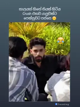 හෑවා 😂 #fy #fypシ゚ #foryoupage #foryou #fyp #fypage #fypageシ #srilanka #sinhala 