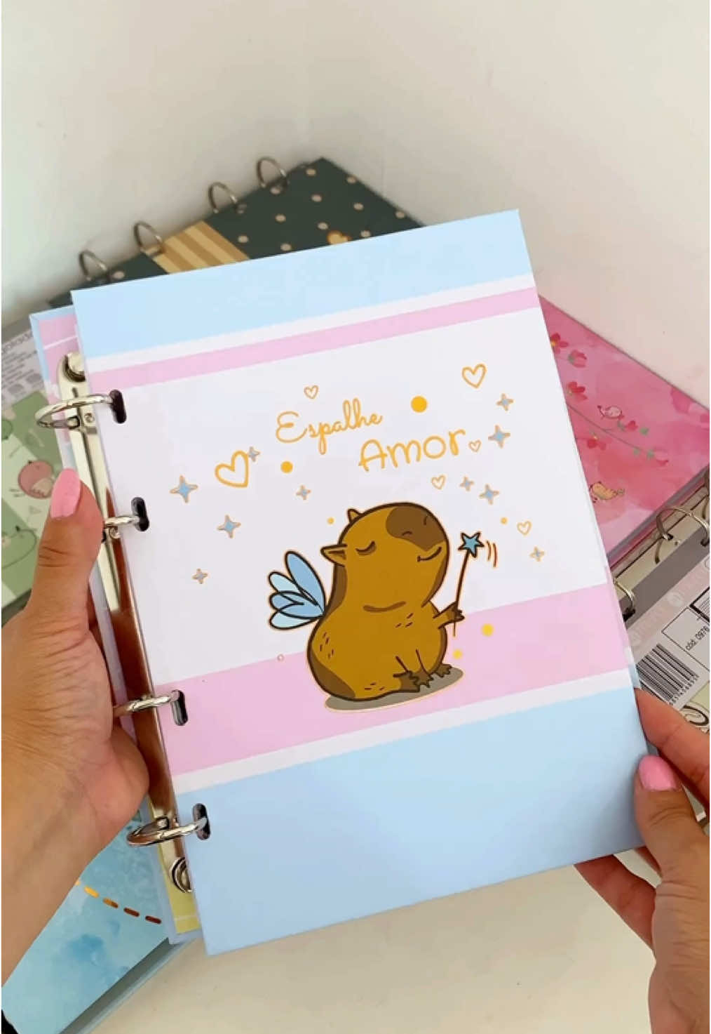 Nossos cadernos argolados no tamanho colegial são perfeitos para estudos e anotações. Com tamanho compacto você pode transportar em sua bolsa 😊 Escolha a capa que mais combina com você! 🎀 #caderno #cedernoargolado #fichario #estudos📚 
