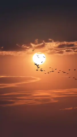 #နေဝင်ချိန်တွေအတူရှိခဲ့ဘူးတယ်