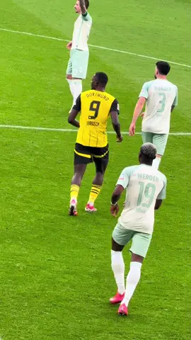 #bvb #bvb09 #borussiadortmund #dortmund #serouhguirassy #🇬🇳🇬🇳 