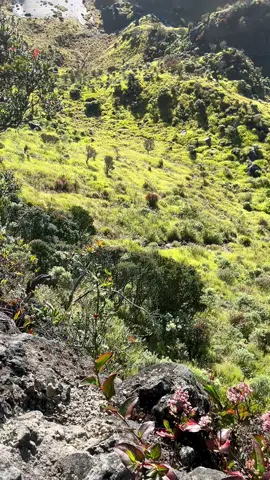 sumbing 16 juli secakep ituu🤩 #sumbingmountain #pendakifomo #berandamuu