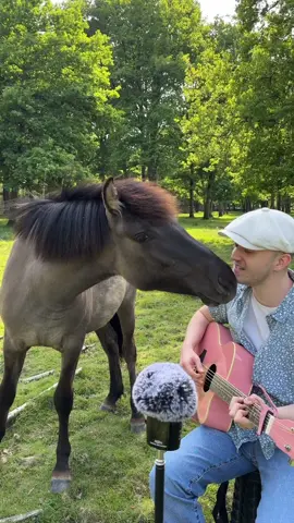 Ses petits bisous à la fin 😭 Merci à l’espace Rambouillet pour l’accueil ❤️ #animaux #chevaux #chevalpassion #cheval 