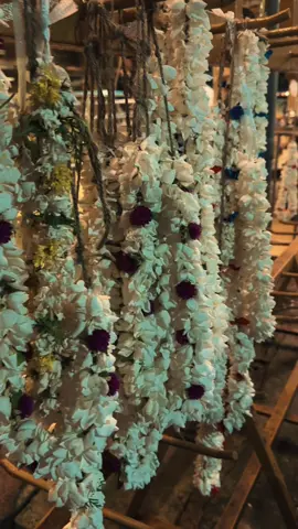 📍Dehiwala anderson vishnu kovil/Kovil vibes 🤍#kovil #kovilsrilanka #colombo #srilanka #fyp #fypシ゚viral #onemillionaudition #CapCut #capcuttem #capcuttemplate #kovilvibes #tamilsong #geethagovindam 