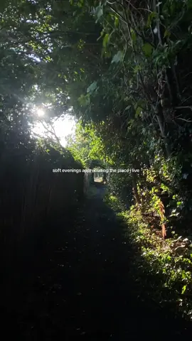 i don’t think i’ll ever leave the north west of england 🥹🧚🏼‍♀️🌿🧞‍♀️ my home  #outside#evenings#Outdoors#northwest#england#englishcountryside#countryside#walk#walks 
