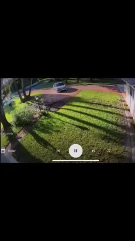 POV your husband almost gets knocked tf out 🌳🤦‍♂️ #men #smh #husbandsoftiktok #fyp #funny #ohnonononoo #OhNo #cuttingtreevideos #cuttingtreefail #failvideos #husbandwife #floridaman #landscape #floridatreetrimmers #cuttingdowntreesfail #fail #fypシ゚viral #viral 