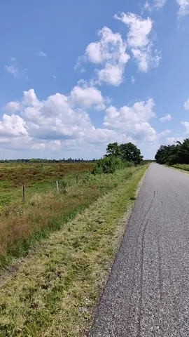 super solo trip #danmark #heden #scandinavia #blink182 #besteleben 