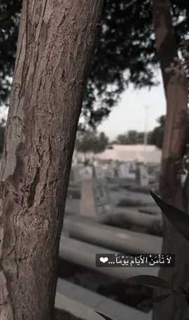 #الحسين_عليه_السلام #عاشوراء #fypシ #جاسم_الحداد #ياحسين❤️😭 