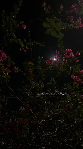 #explor #foryou ##تيك_توك_ 