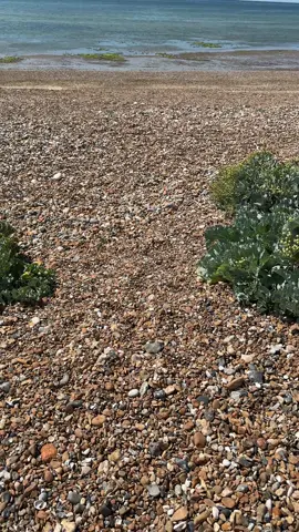 #follow #like #comment #share #foruyou #❤️ 