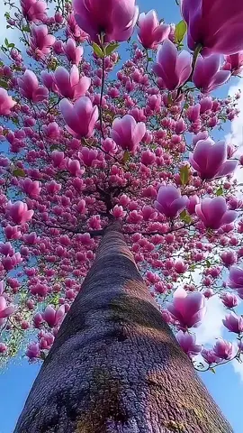 #ان_الله_وملائكته_يصلون_على_النبي #الصلاه_على_النبي_ #يوم_الجمعه 