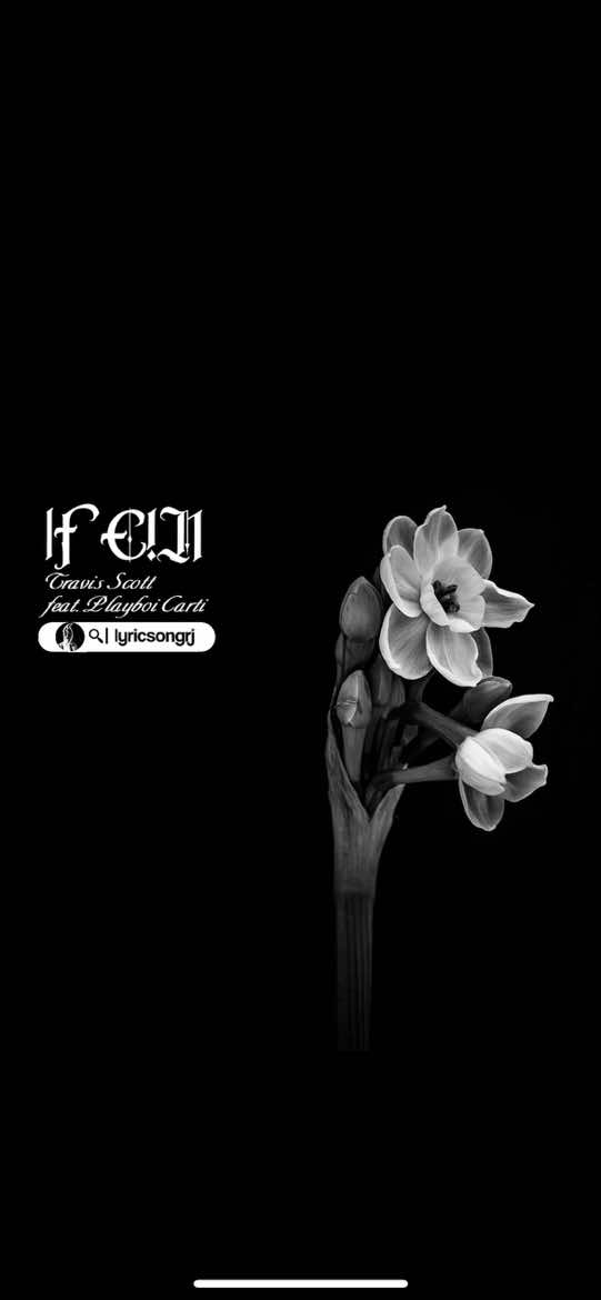 fein #travisscott #playboicarti #song 