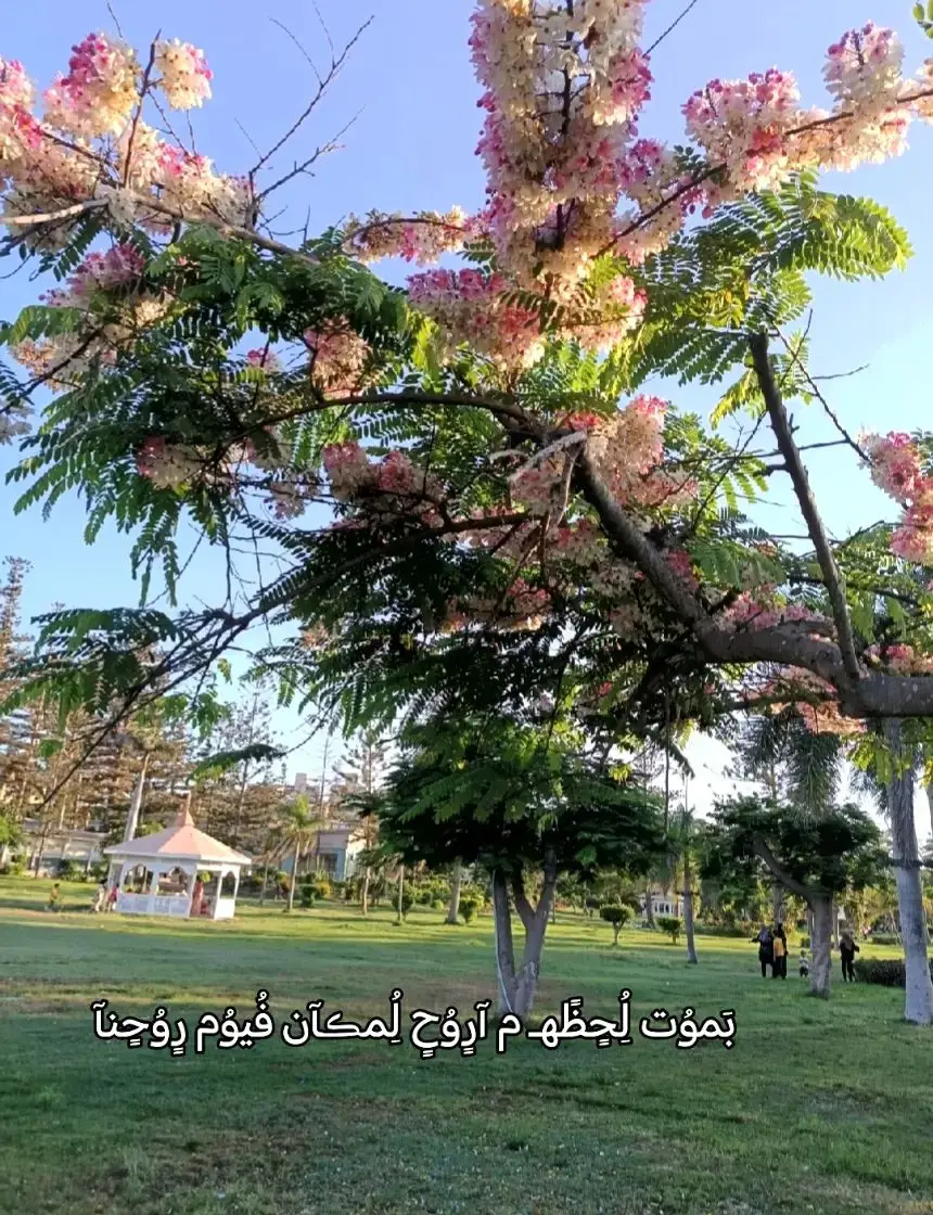 #ذكريات #وحشتني 