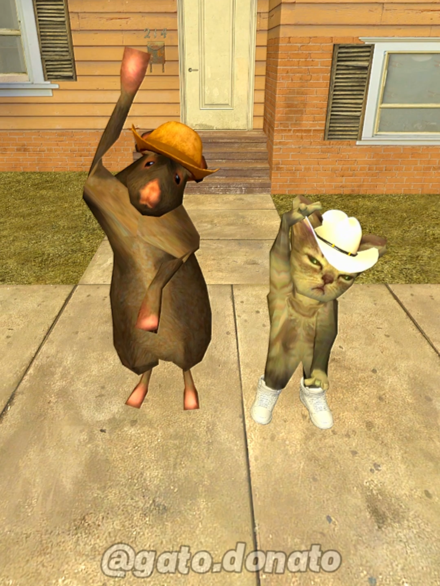 Dile al Amor #gatodonato #gato #rato #cat #rat #musica #dança #gmod