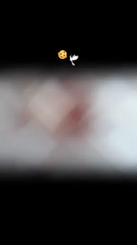 been 9weeks and 4days now🥺🕊🕊🕊 #loveyou #flyhigh 