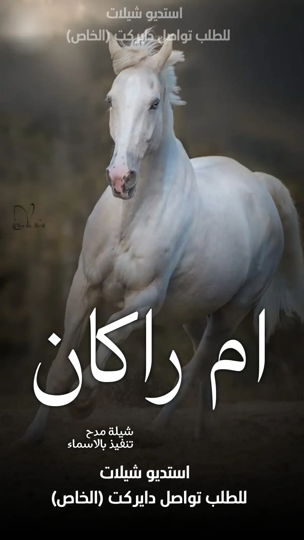 #السعوديه🇸🇦 #الكويت🇰🇼 #قطر_الدوحة🇶🇦 #البحرين🇧🇭 #الامارات #-للطلب_الشيلات_والزفات_التواصل_معنا_وتساب_من_داخل_المملك-شيلات_زفات_تخرجات_مواليد_عقد_قرآن_مولوده_مولود شيلات الخروج من_الاندين ظظة سجن_شيلات_خروج - بسلامه - شيلات -شفاءوسلامه_شيلات_تقاعد_تخرج_ملازم_تخرج_عسكري_تخرج_من_الدفاع_المدني_الكويت_قطر_السعوديةالامارات_البحرين_الكويت_الرياض_المدينه_ابها_شيلات_حماسيه_طرررب_شيلات_عرسان_شيلات_ام_العروس_شيلات_ام_العروسه_شيلات_خطوبه_زفات_بالاسماء_ز فات_بدون اسماء - كتابة كلمات_جديده  #استديو_اللمسه -الماسيه_لتنفيذ_الشيلات_والزفات والقصائدالشعريه_لجميع_المناسبات_شيلات_مهنا_العتيبي_فهد_العلي_النايف_فواز_العنزي_شيلات_بنت_ابوها_شيلة_شامخه_بنت_ابوها_الرياض_جده_مها_شيلة_شامخه_بنت_ابوها_الرياض_جده_مكه_المكرمه_ابها_قطر_البحرين_الكويت_الامارات_شيلات_سعد_محسن_شيلات_ناصر_السيحاني_شيلات_عز_السعود_شيلات_قايد_الوبيري_2024_شيلات_فلاح_المسردي_شيلات_الجف راني شيلات البندر_بن_عوير_فهد_بن_فصلا_محمد_بن_غرمان_جديد_استديو_الزينه#للطلب_الشيلات_التواصل_معنا_وتساب_من_داخل_المملك_شيلات_زفات_تخرجات_موال -بسلامه-شيلات-شفاء_وسلامه_شيلات_تقاعد_تخرج_ملازم_تخرج_عسكري_تخرج_من_الدفاع_المدني_الكويت_قطر_السعودية_الامارات_البحرين_الكويت_الرياض_المدينه_ابها_شيلات_حماسيه_طرررب_شيلات_عرسان_شيلات_ام_العروس_شيلات_ام_العروسه_شيلات_خطوبه_زفات_بالاسماء_زفات_بدون_اسماءكتابةكلمات_جديدةء_زفات_بدون_اسماء_كتابة_كلمات_خارج_المملكه_اللمسه-الماسيه_لتنفيذ_الشيلات_والزفات_والقصائد_الشعريه_لجميع_المناسبات_شيلات_مهنا_العتيبي_فهد_العلي_النايف_فواز_العنزي_شيلات_بنت_ابوها_شيلة_شامخه_بنت_ابوها_الرياض_جده_مكه_المكرمه_ابها_قطر_البحرين_الكويت_الامارات_شيلات_سعد_محسن_شيلات_ناصرالسيحاني_شيلات_عز_السعود_شيلات_قايد_الوبيري_2024_شيلات_فلاح_المسردي_شيلات_الجفراني_شيلات_بندر_بن_عوير_فهد_بن_فصلا_محمد_بن_غرمان_جديد_كتابة_كلمات_جديدة_من-خارج_المملكه -شيلات_زفات_تخرجات_موالید_عقد_قرآن_مولوده_مولود_شيلات_خروج_من_السجن_شيلات_خروج-بسلامه_شيلات-شفاء_وسلامه_شيلات_تقاعد_تخرج_ملازم_تخرج_عسكري_تخرج_من_الدفاع_المدني_الكويت_قطر_السعودية_الامارات_البحرين_الكويت_الرياض_المدينه_ابها_شيلات_حماسيه_طرررب_ شيلات_عرسان_شيلات_ام_العروس_شيلا ت_ام_العروسه_شيلات_خطوبه_زفات_بالاسما ء_زفات_بدون_اسماء -خارج_المملكه- ع_المناسبات_شيلات_مهنا_العتيبي_فهاد_ العلي_النايف_فواز_العنزي_شيلات_بنت_ابوها_شيلة_شامخه_بنت_ابوها_الرياض_جده_مكه_المكرمه_ابها_قطر_البحرين_الكويت_الامارات_شيلات_سعد_محسن_شيلات_ناصر_السيحاني_شيلات_عز_السعود_شيلات_قايد_الوبيري_2024_ شيلات_فلاح_المسردي_شيلات_الجفراني_شيلات بندر بن عوير_فهد_بن_فصلا_محمد_بن_غرمان_جديد_كتابة_كلمات_جديد