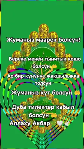 #Жума маарек болсун#🌿🌿🌿 #🕊️🕊️🕊️ #❤️❤️❤️ #рек #